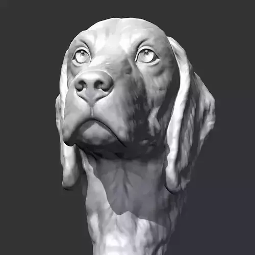 Beagle Head V2 AM04 3D print model