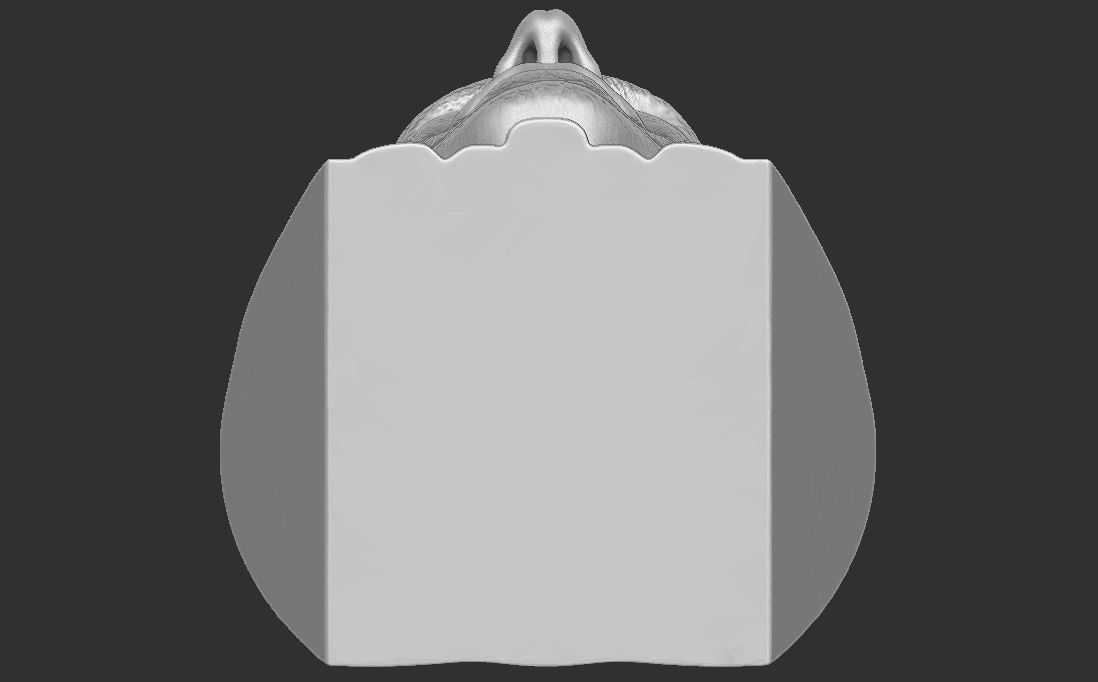 Anthony Fauci bust for 3D printing 3D print model_28