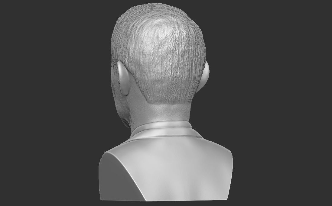 Anthony Fauci bust for 3D printing 3D print model_10