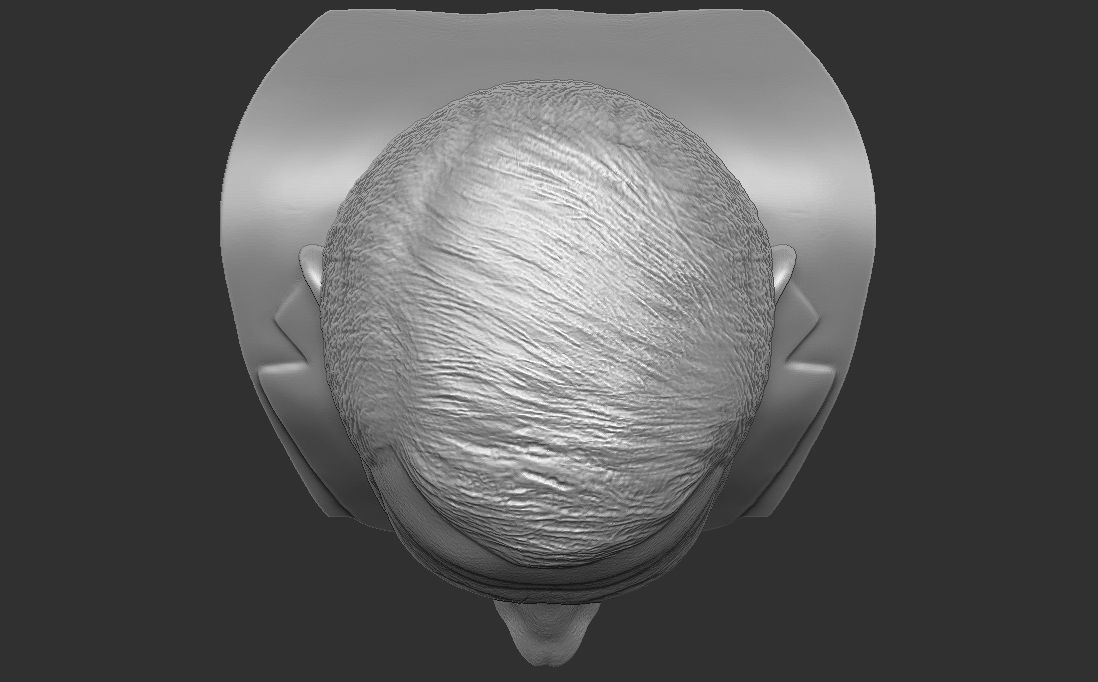 Anthony Fauci bust for 3D printing 3D print model_29