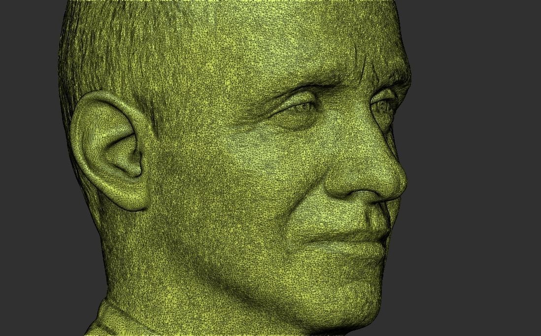 Anthony Fauci bust for 3D printing 3D print model_33