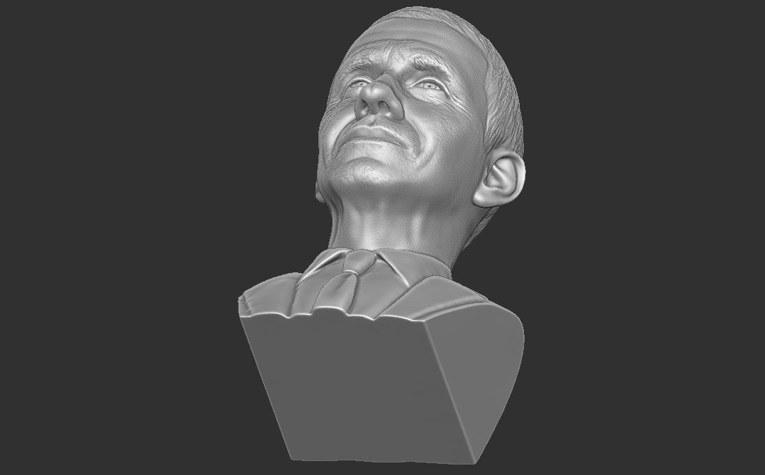 Anthony Fauci bust for 3D printing 3D print model_27