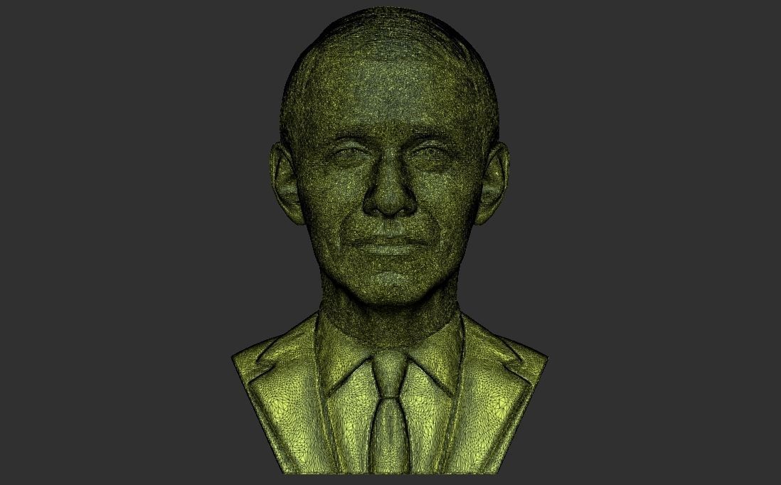 Anthony Fauci bust for 3D printing 3D print model_30