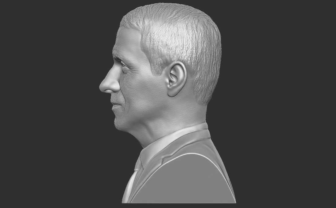 Anthony Fauci bust for 3D printing 3D print model_9