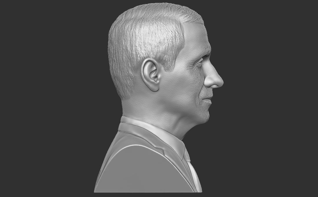 Anthony Fauci bust for 3D printing 3D print model_13