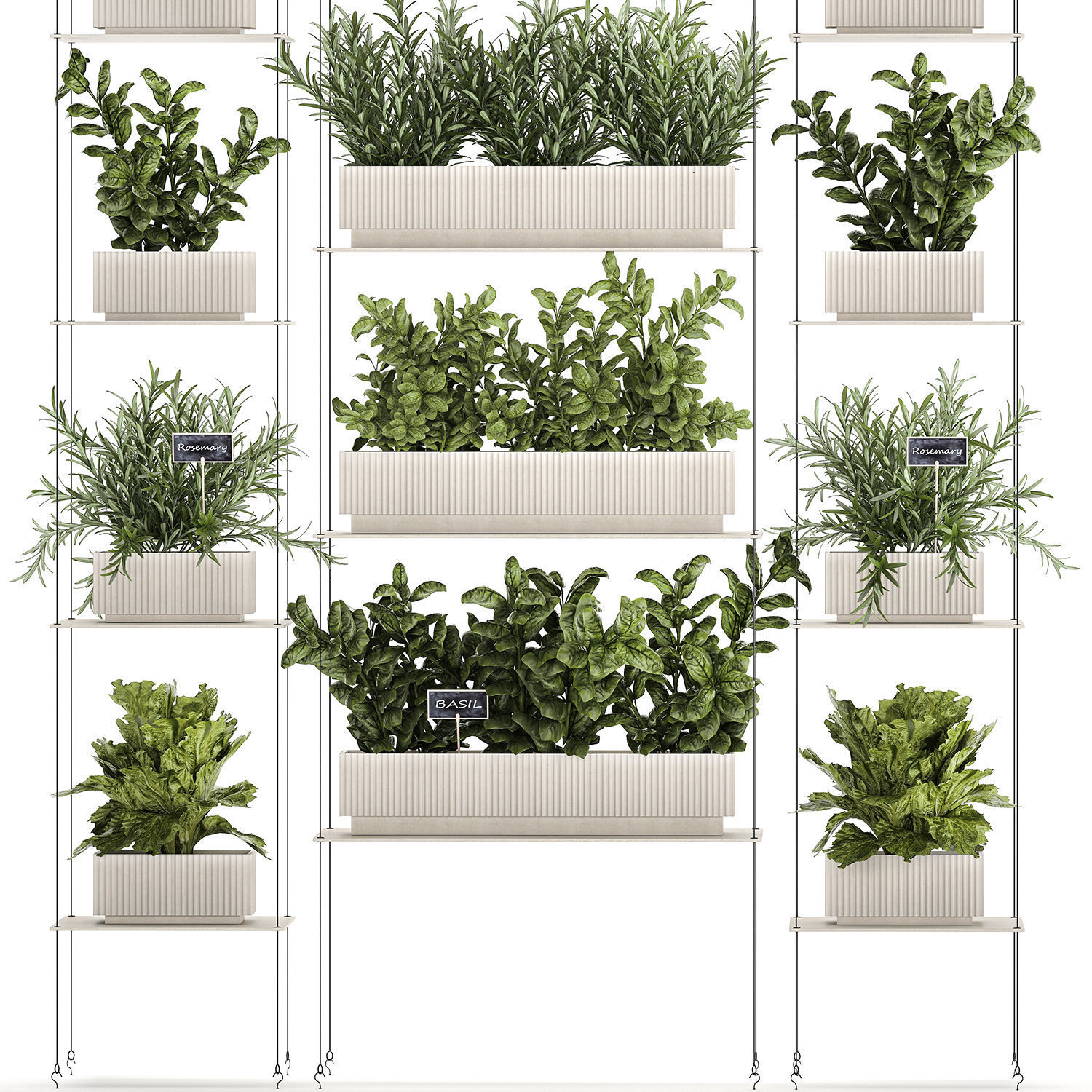 Kitchen mini vegetable garden set Basil Lettuce Rosemary 1412 3D model_10