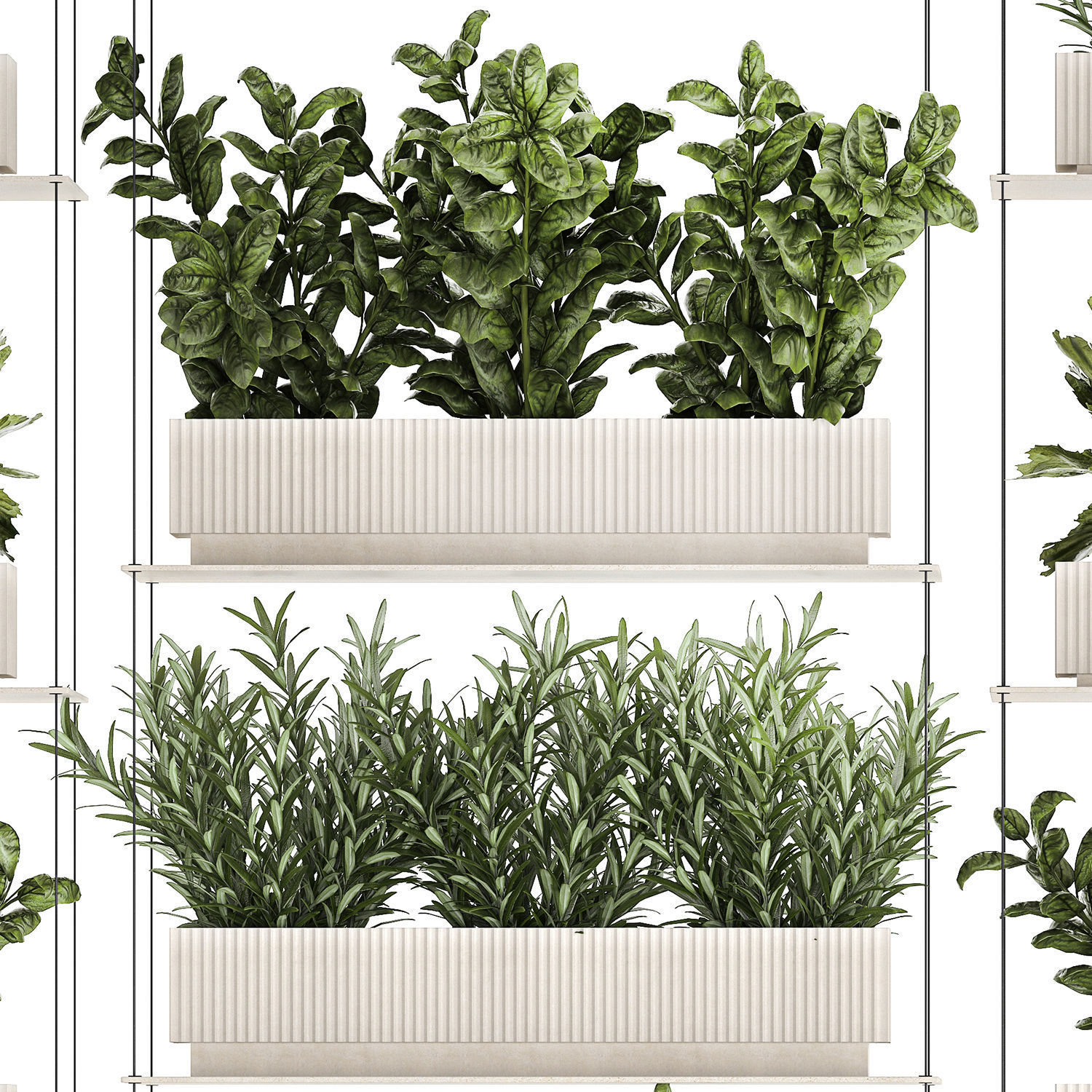 Kitchen mini vegetable garden set Basil Lettuce Rosemary 1412 3D model_11