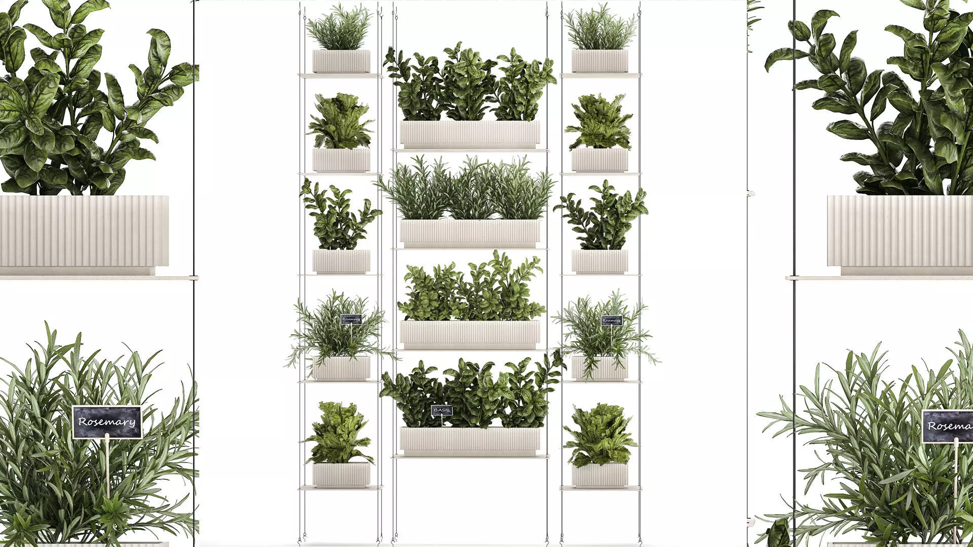 Kitchen mini vegetable garden set Basil Lettuce Rosemary 1412 3D model_0