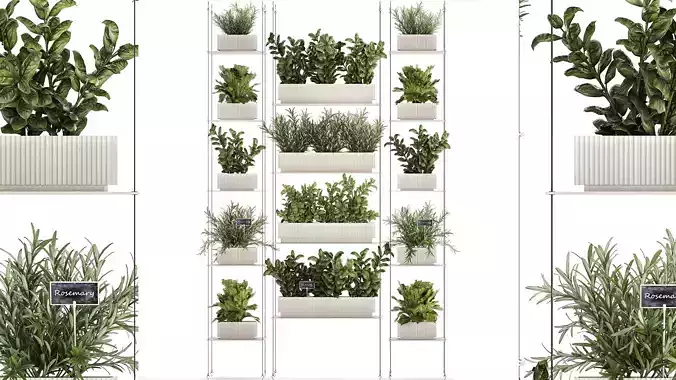Kitchen mini vegetable garden set Basil Lettuce Rosemary 1412 3D model