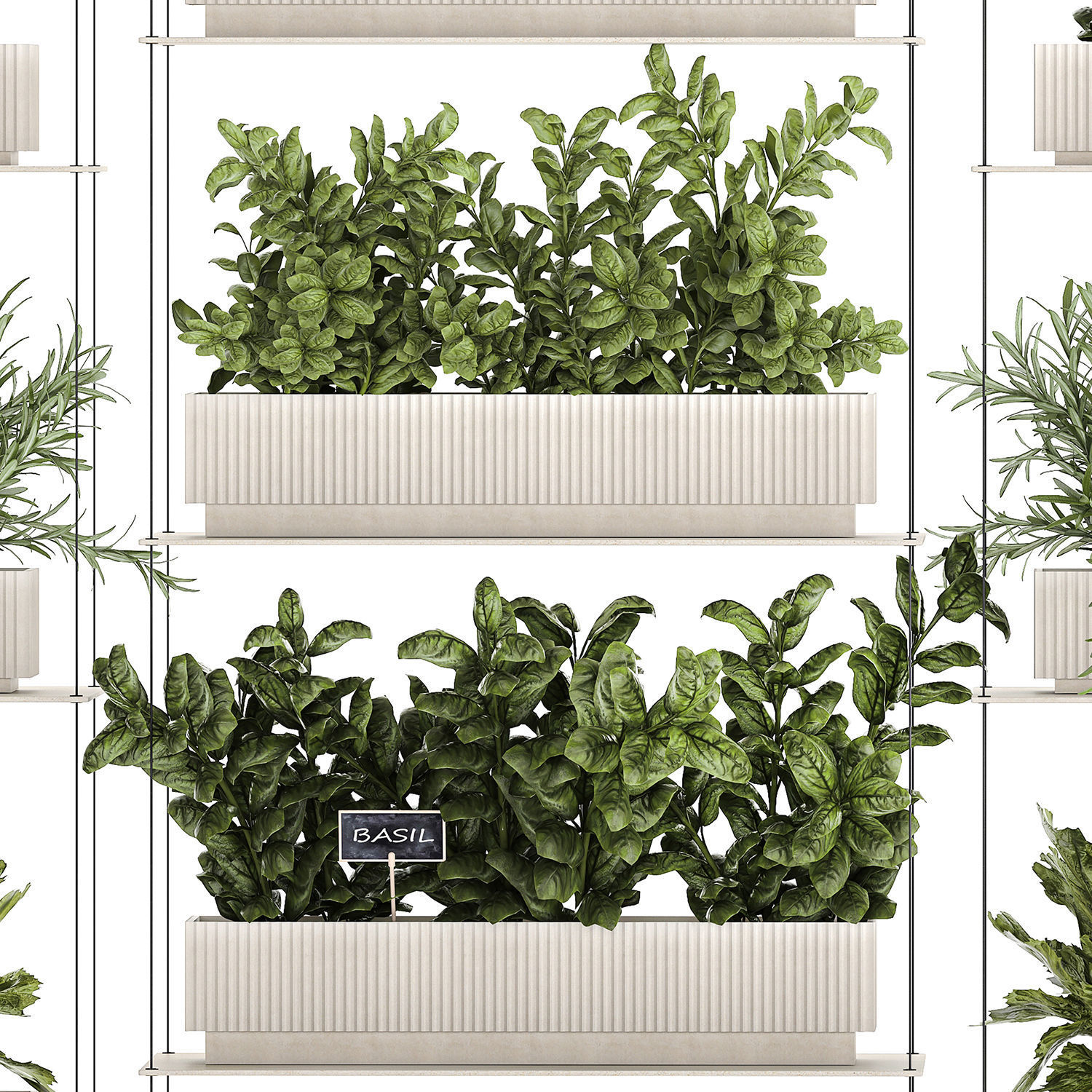 Kitchen mini vegetable garden set Basil Lettuce Rosemary 1412 3D model_12