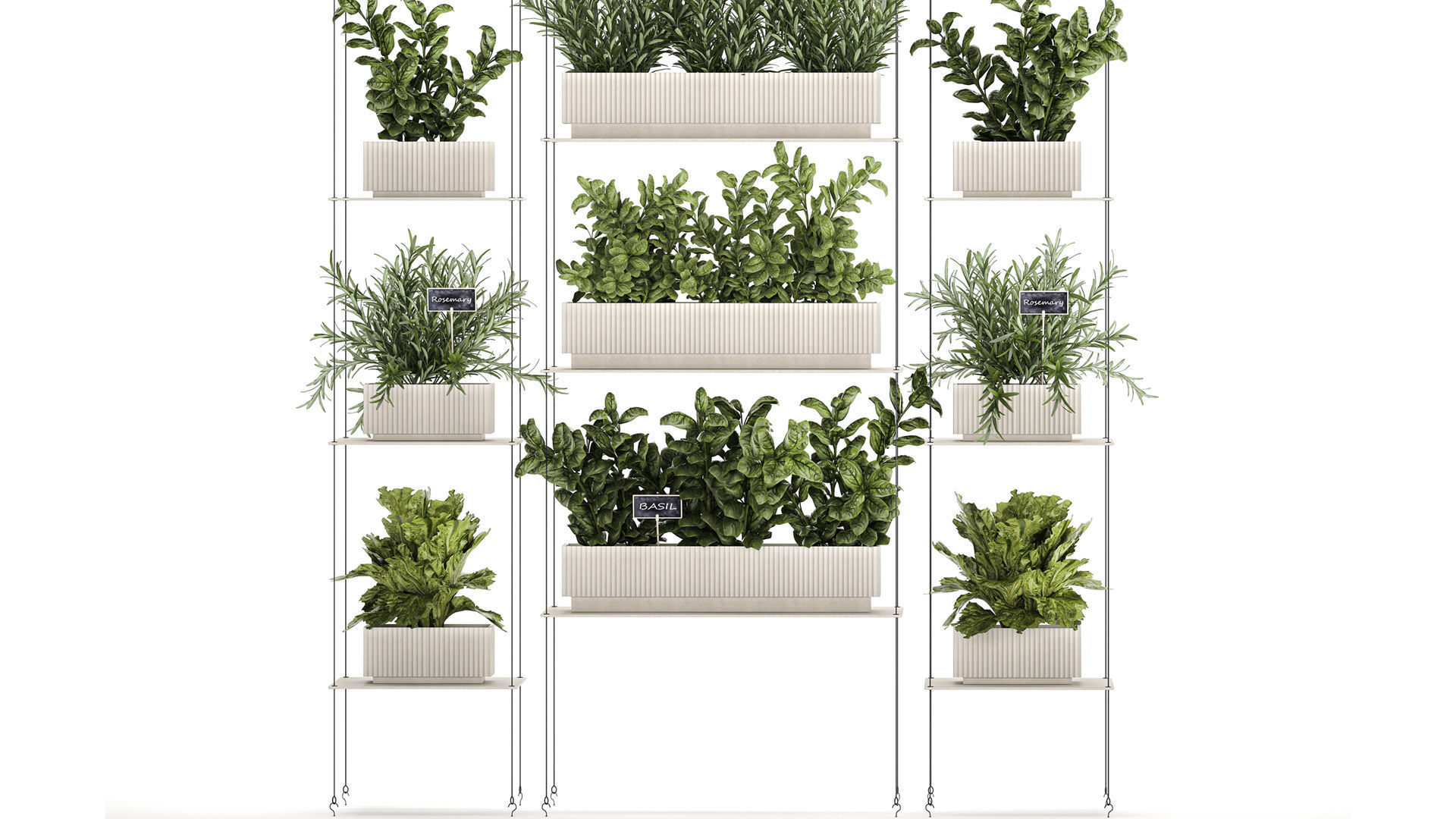 Kitchen mini vegetable garden set Basil Lettuce Rosemary 1412 3D model_2