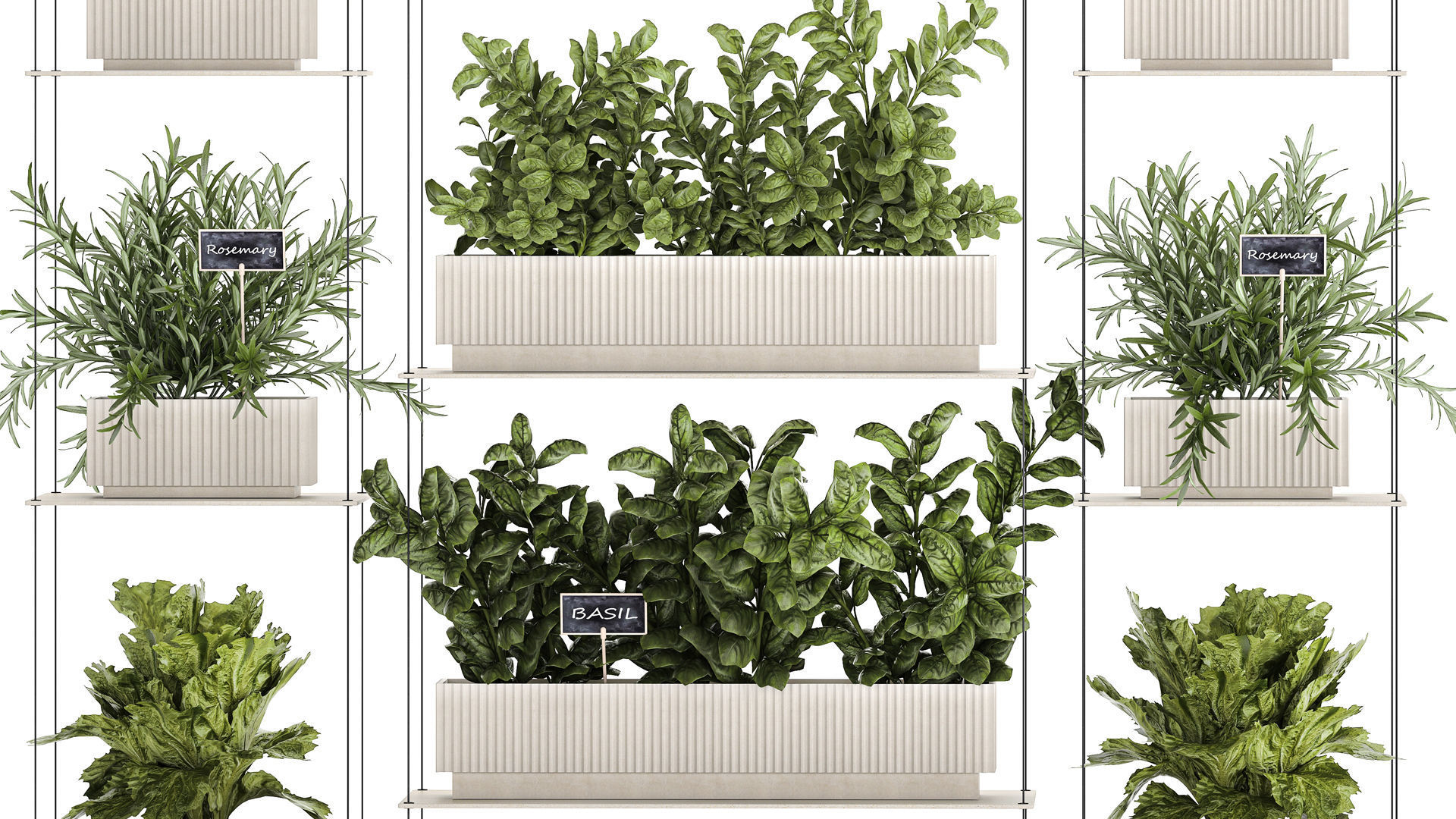 Kitchen mini vegetable garden set Basil Lettuce Rosemary 1412 3D model_4