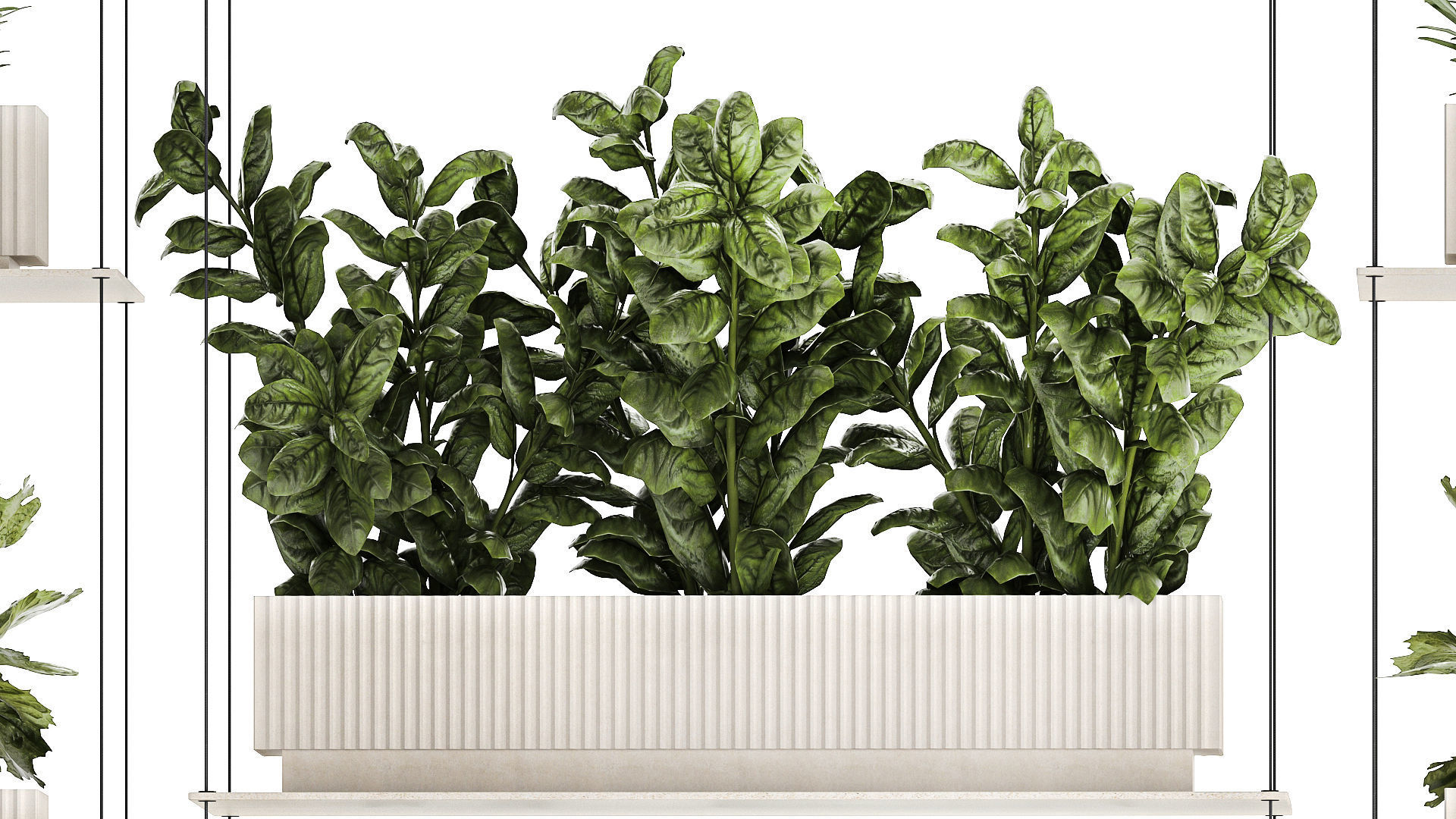 Kitchen mini vegetable garden set Basil Lettuce Rosemary 1412 3D model_6