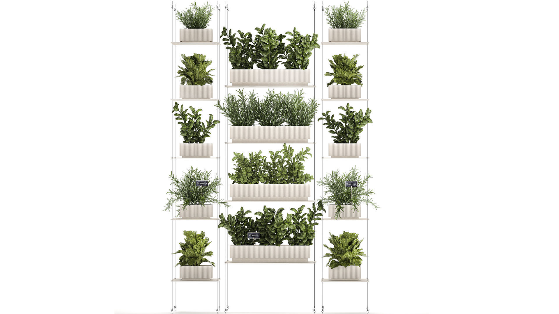 Kitchen mini vegetable garden set Basil Lettuce Rosemary 1412 3D model_1