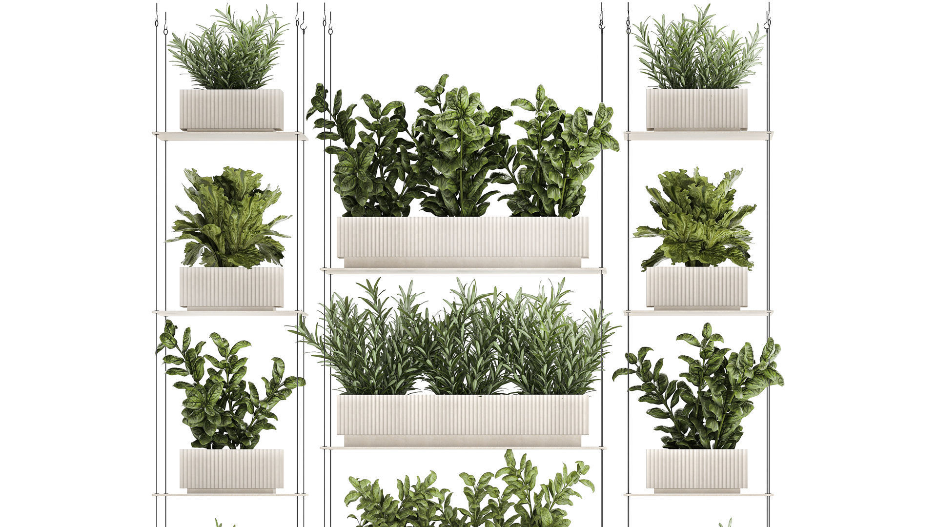 Kitchen mini vegetable garden set Basil Lettuce Rosemary 1412 3D model_3