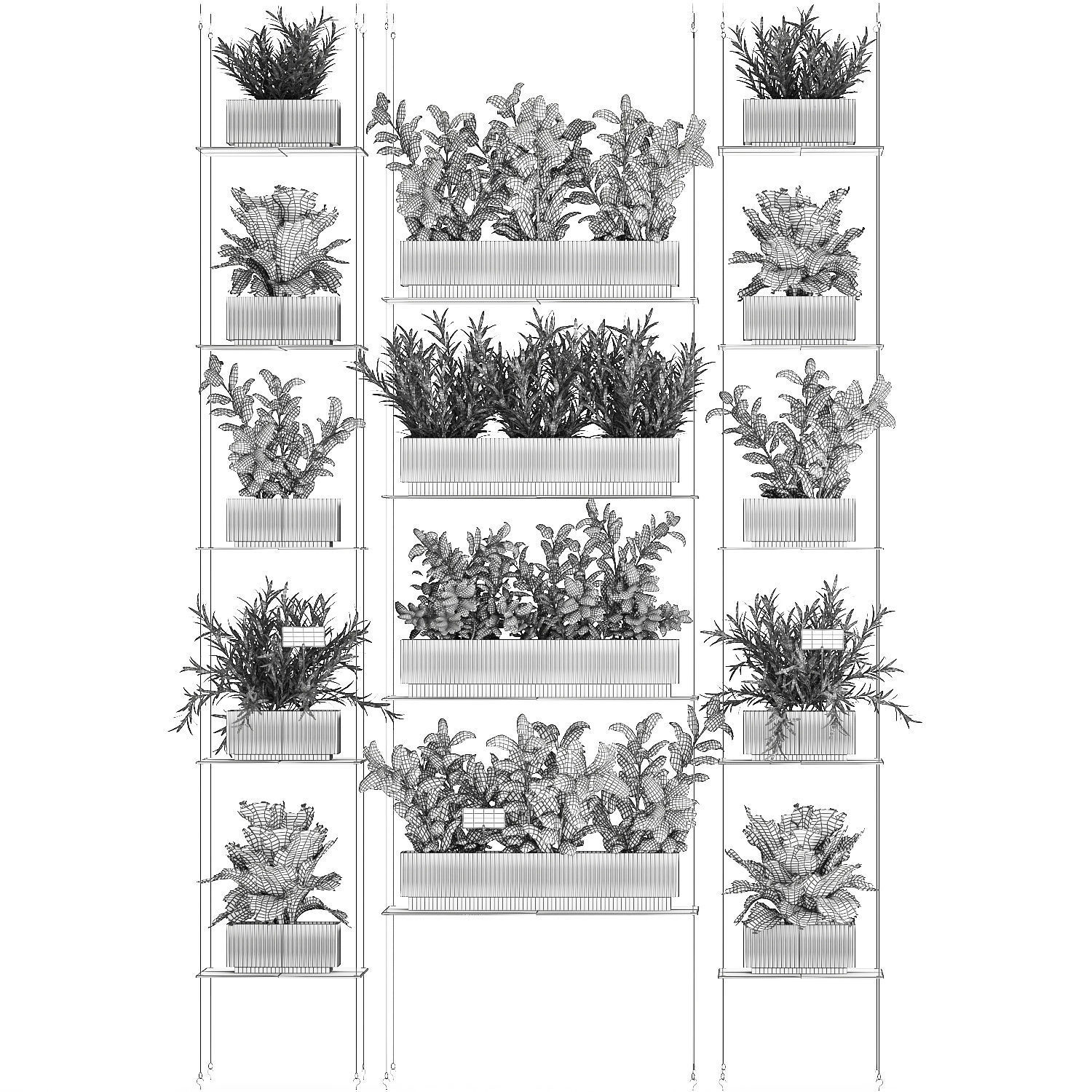 Kitchen mini vegetable garden set Basil Lettuce Rosemary 1412 3D model_13