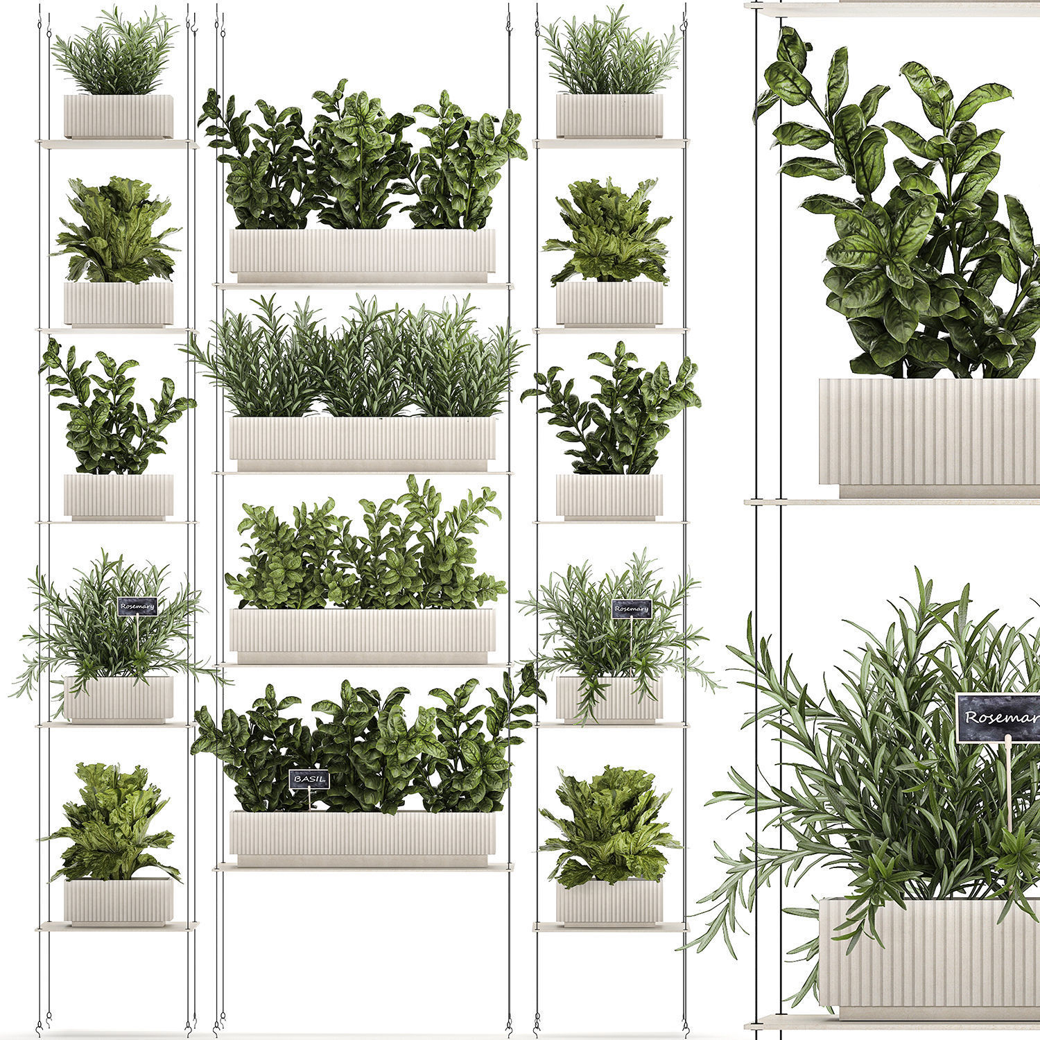 Kitchen mini vegetable garden set Basil Lettuce Rosemary 1412 3D model_7