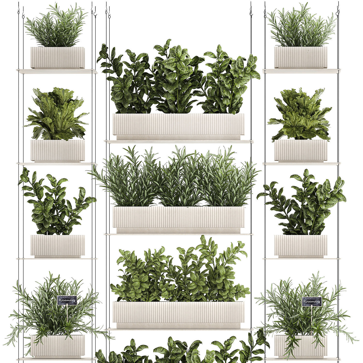 Kitchen mini vegetable garden set Basil Lettuce Rosemary 1412 3D model_9