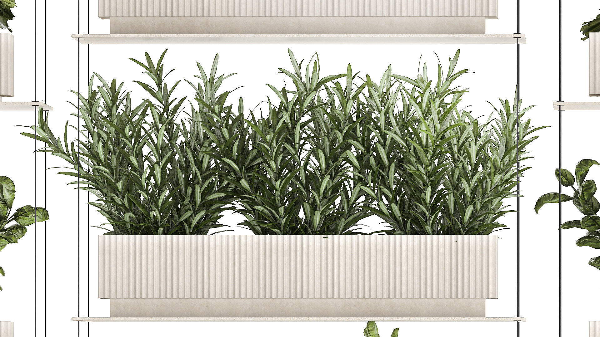 Kitchen mini vegetable garden set Basil Lettuce Rosemary 1412 3D model_5