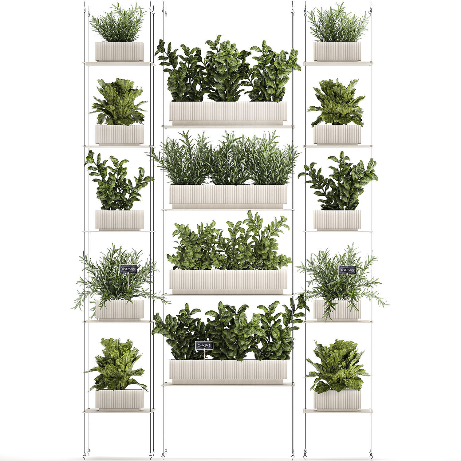 Kitchen mini vegetable garden set Basil Lettuce Rosemary 1412 3D model_8