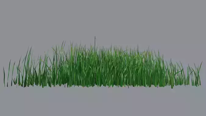 Grass 01