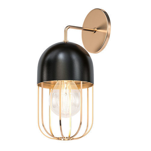 CAPSULE CAGE 3D model