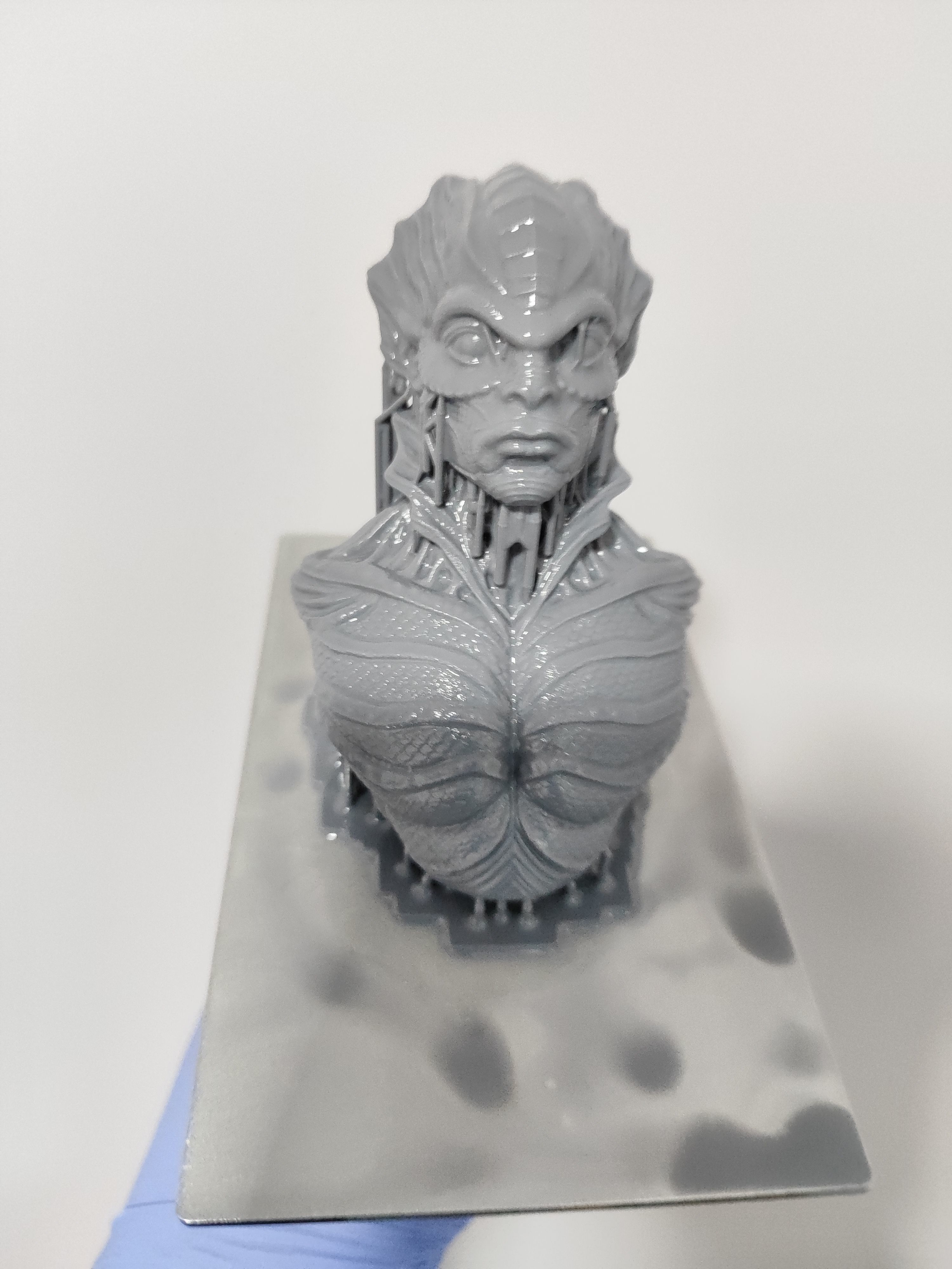 MARINUS STL - ORIGINAL  3D print model_8