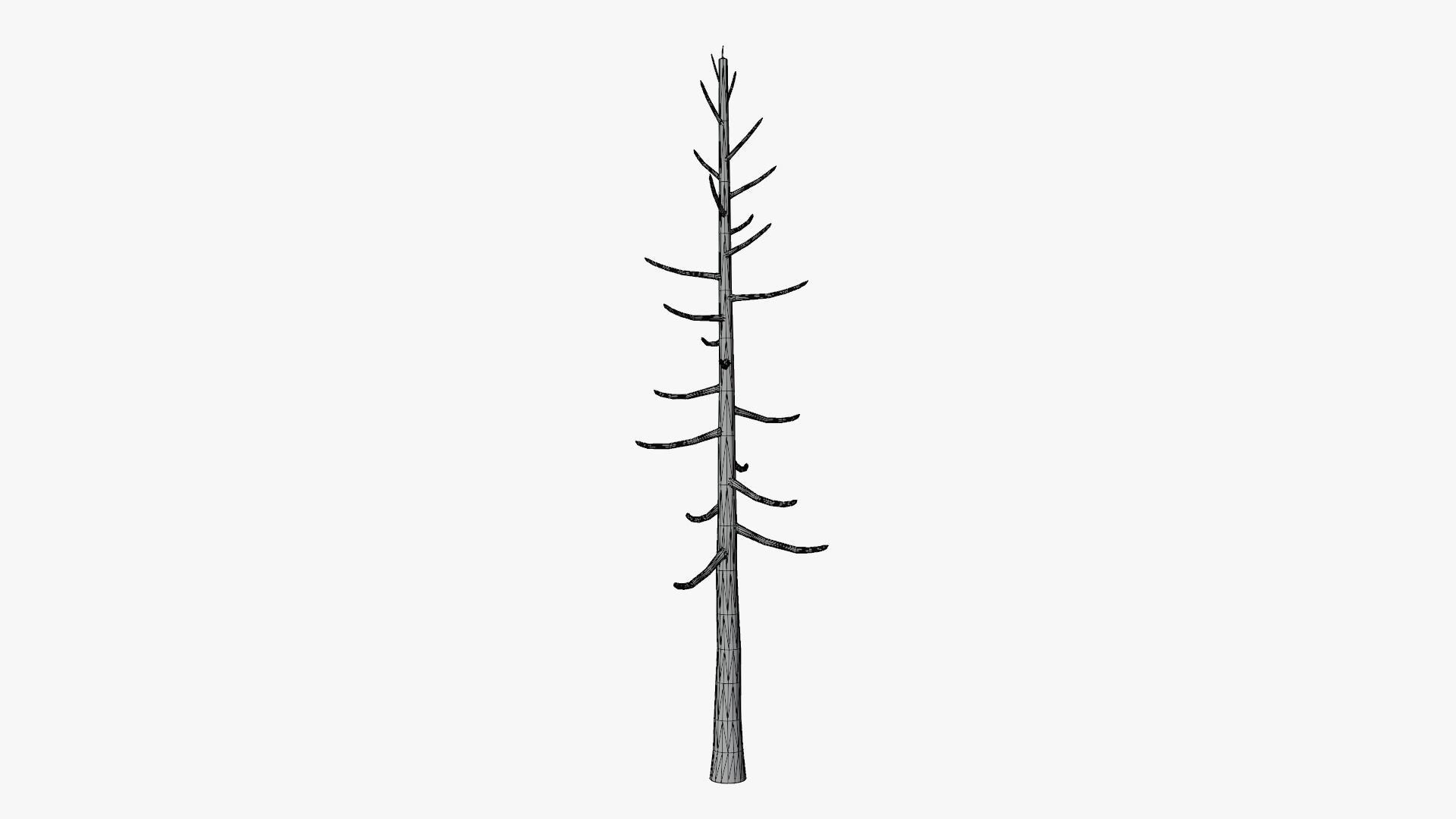 Lowpoly Pine Collection _23