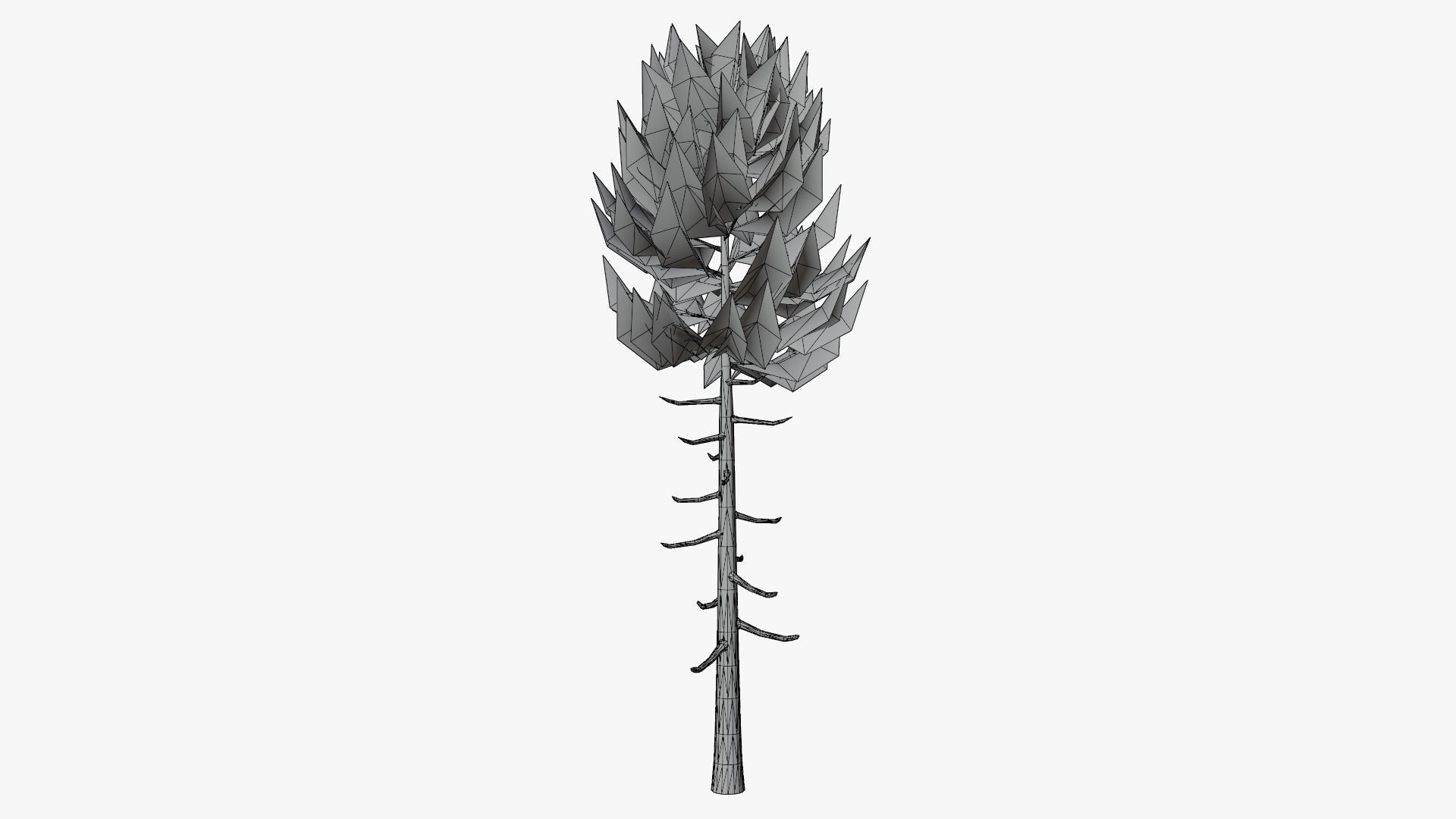 Lowpoly Pine Collection _13