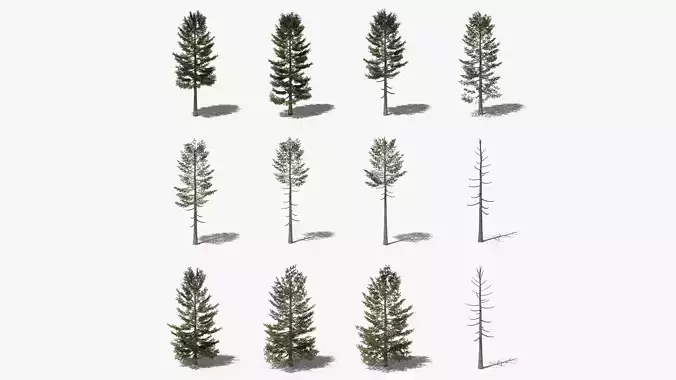 Lowpoly Pine Collection 