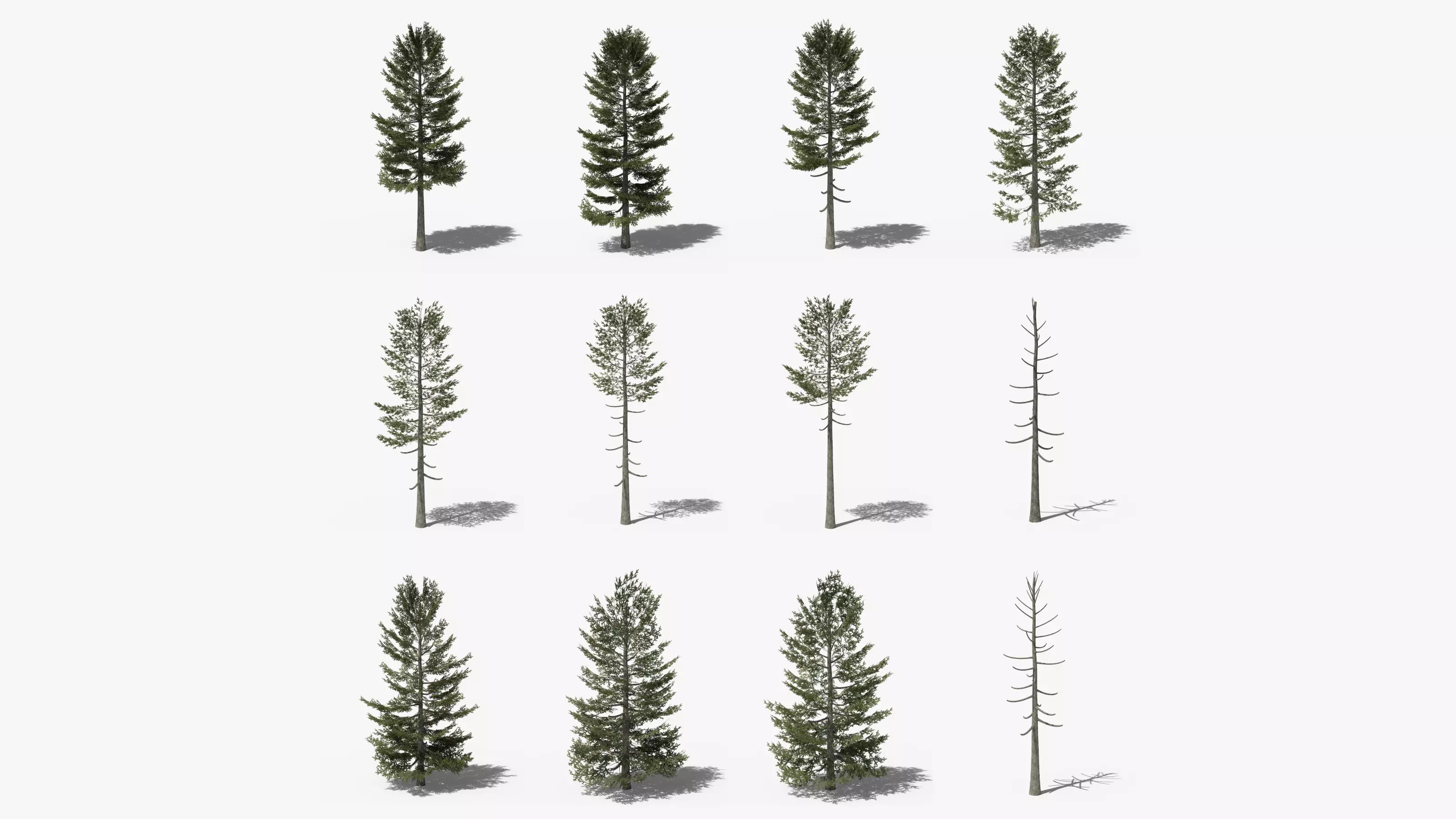 Lowpoly Pine Collection _0