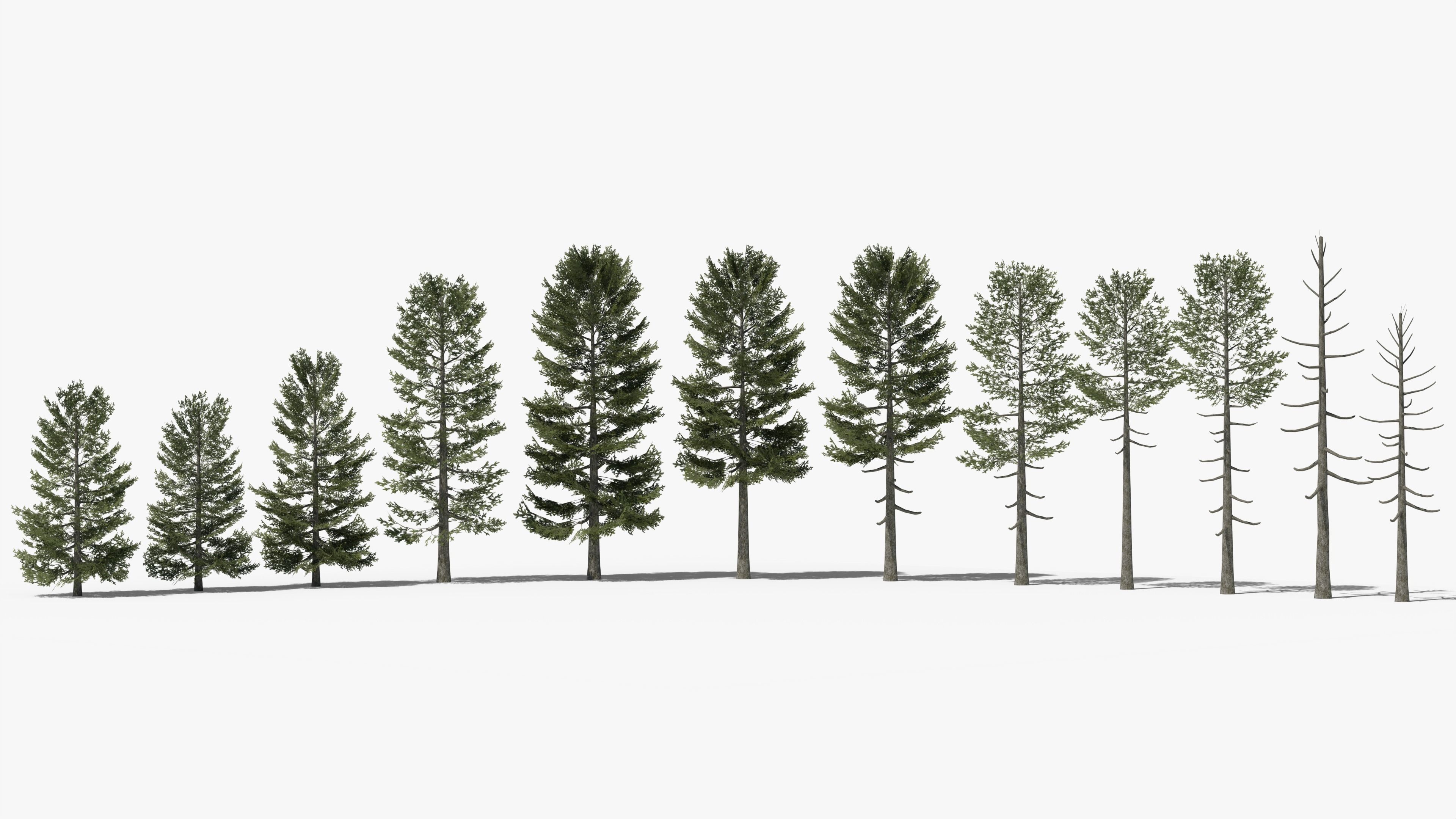 Lowpoly Pine Collection _1