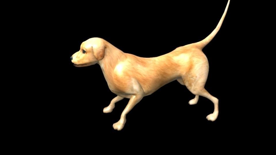Textured dog Free 3D model_1