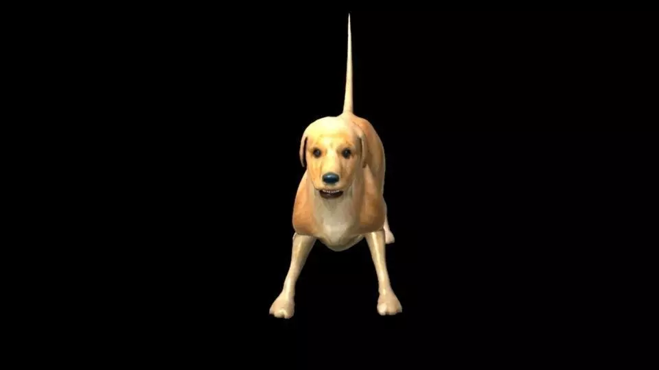 Textured dog Free 3D model_0