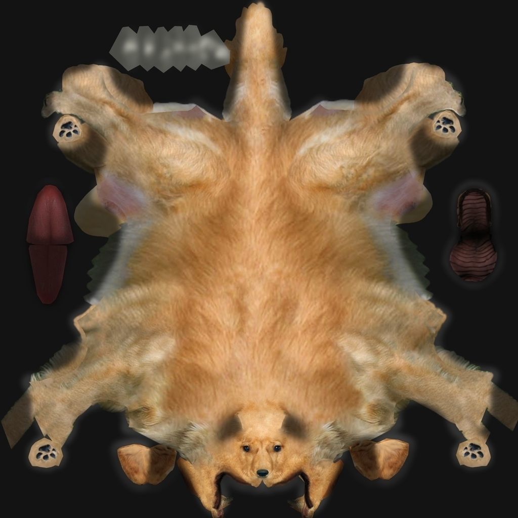 Textured dog Free 3D model_3