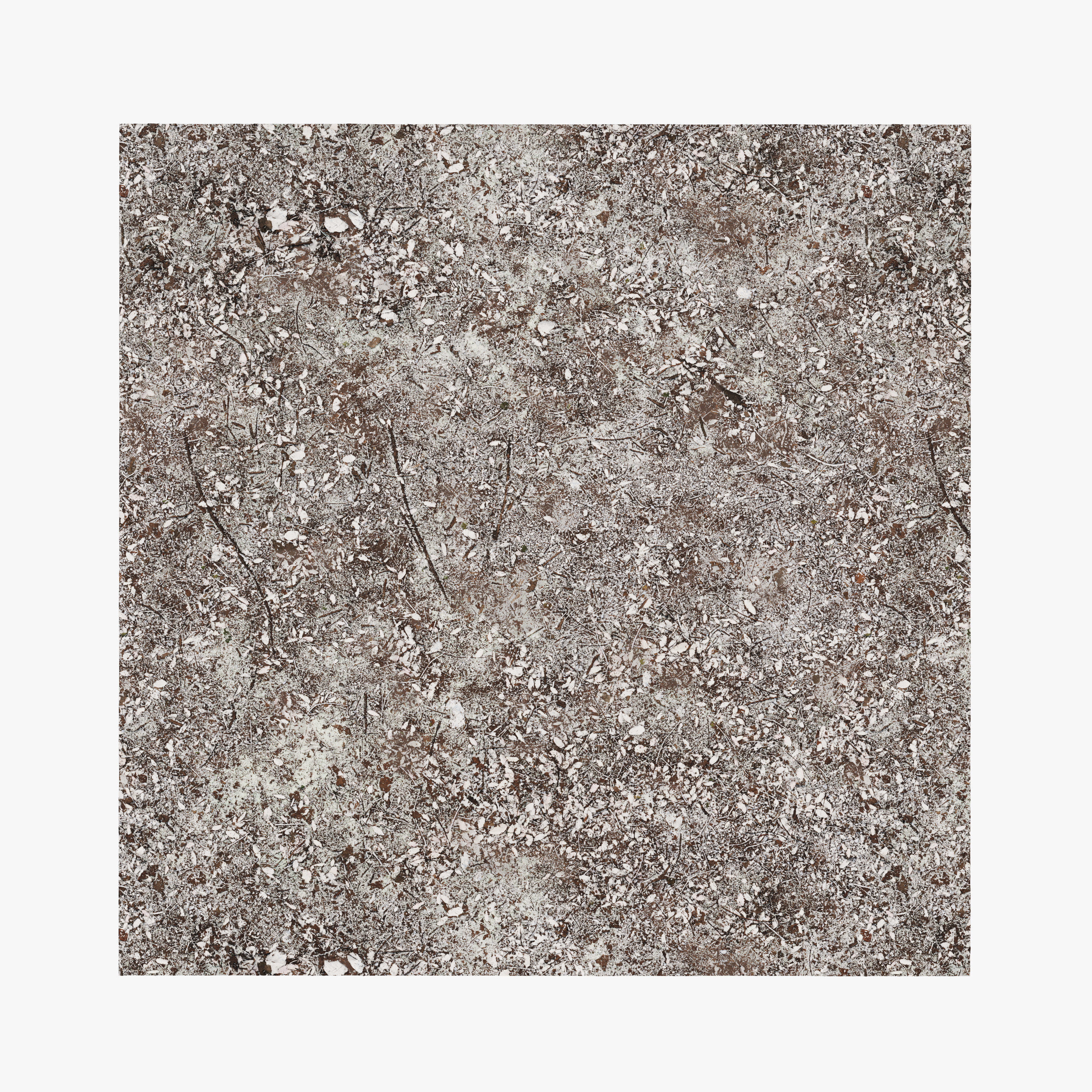 Snow ground Texture_1