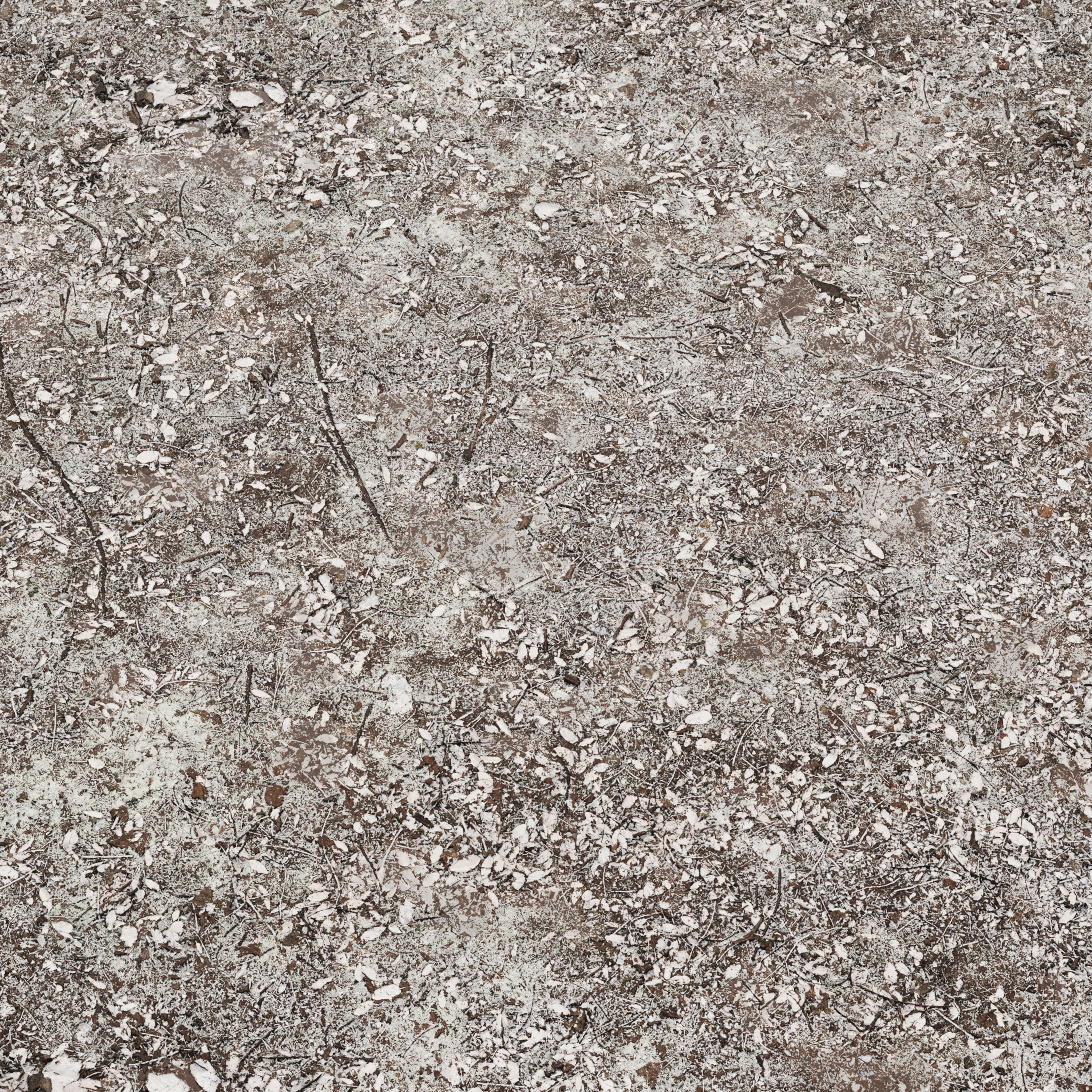 Snow ground Texture_3