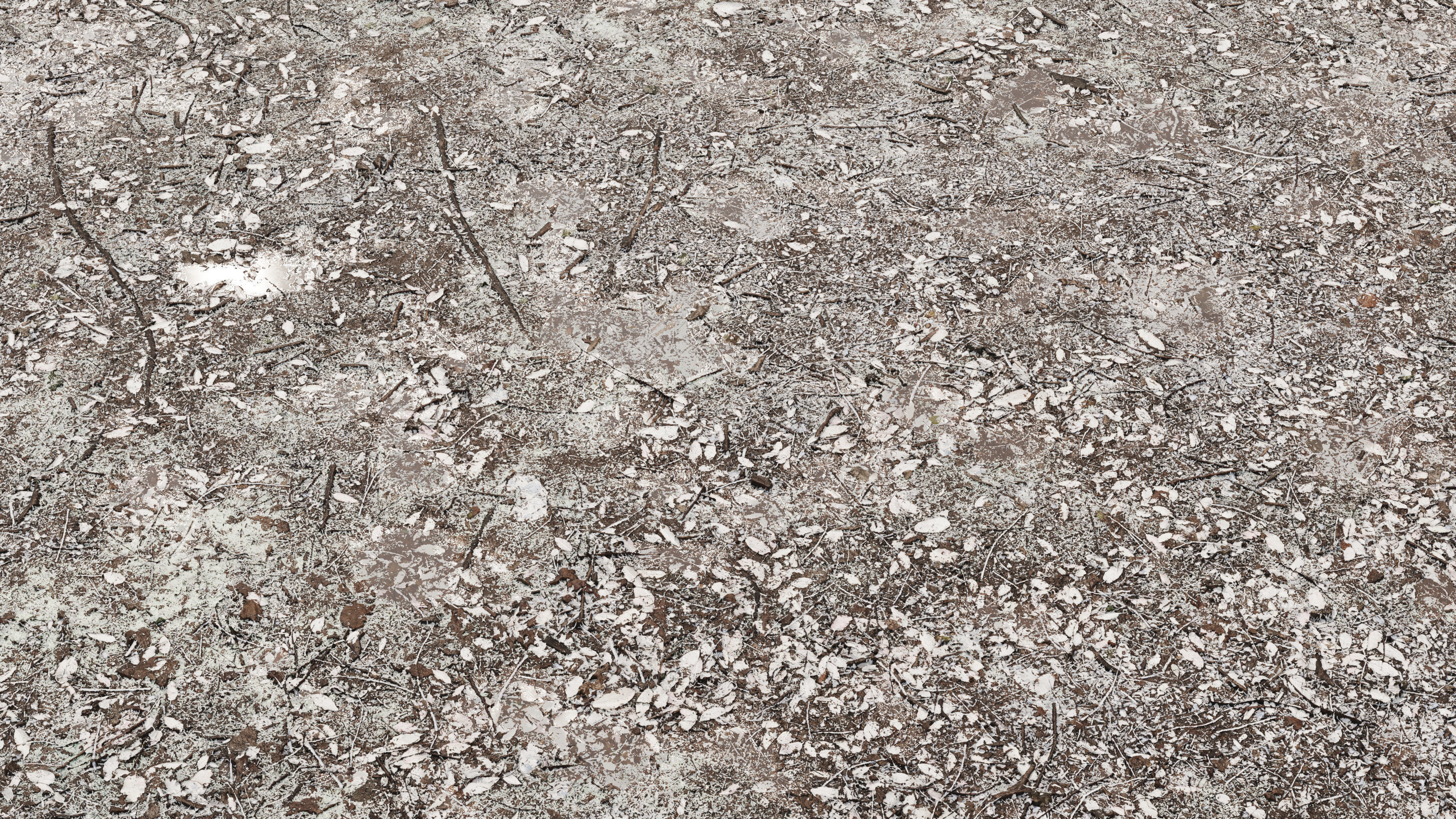 Snow ground Texture_2
