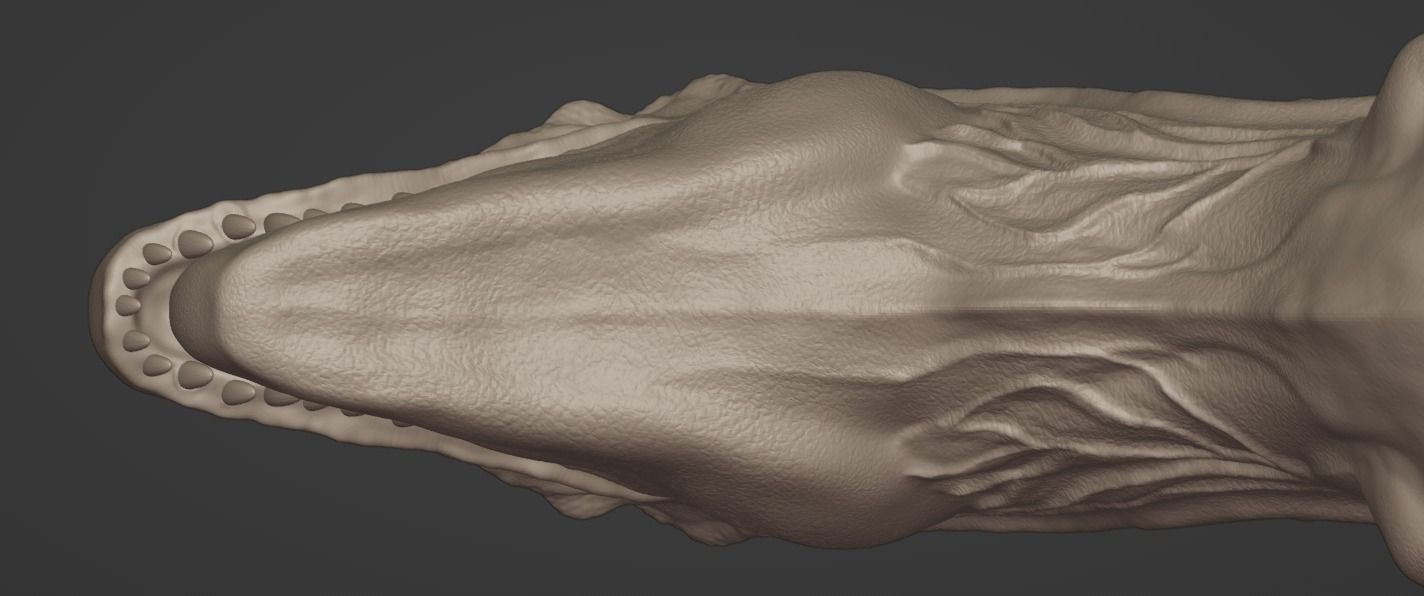 3D Print Creature T-rex 3D print model_12