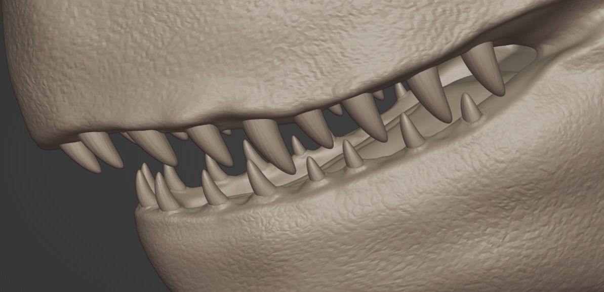 3D Print Creature T-rex 3D print model_9