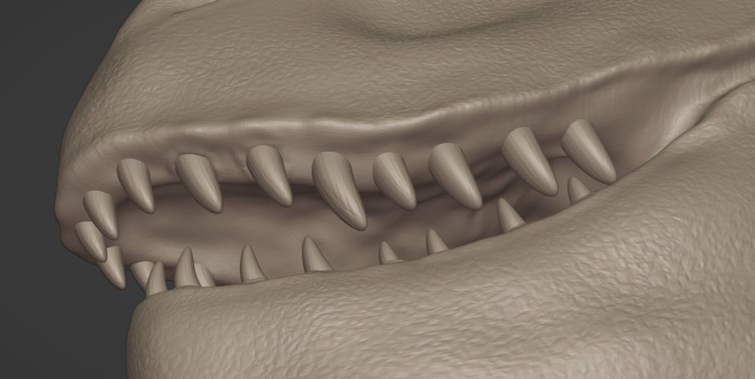 3D Print Creature T-rex 3D print model_11