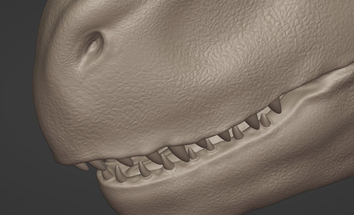 3D Print Creature T-rex 3D print model_10