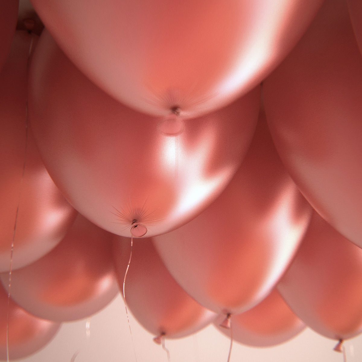 25 air balloons 3D model_4