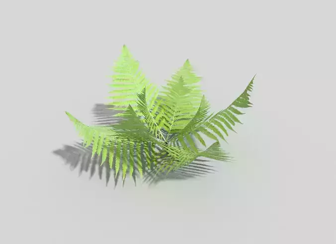 low poly fern leaves Low-poly 3D model