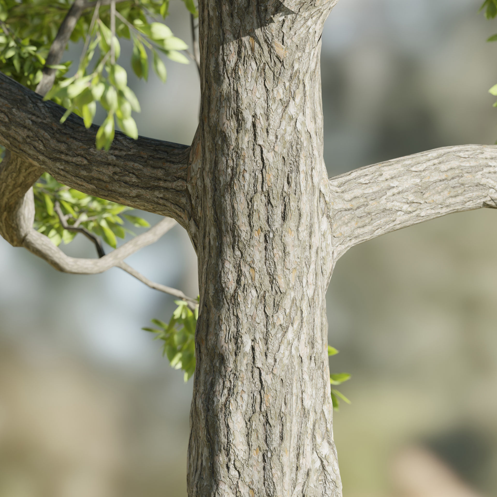 Paradise tree vol 94-Blender 3D model_2