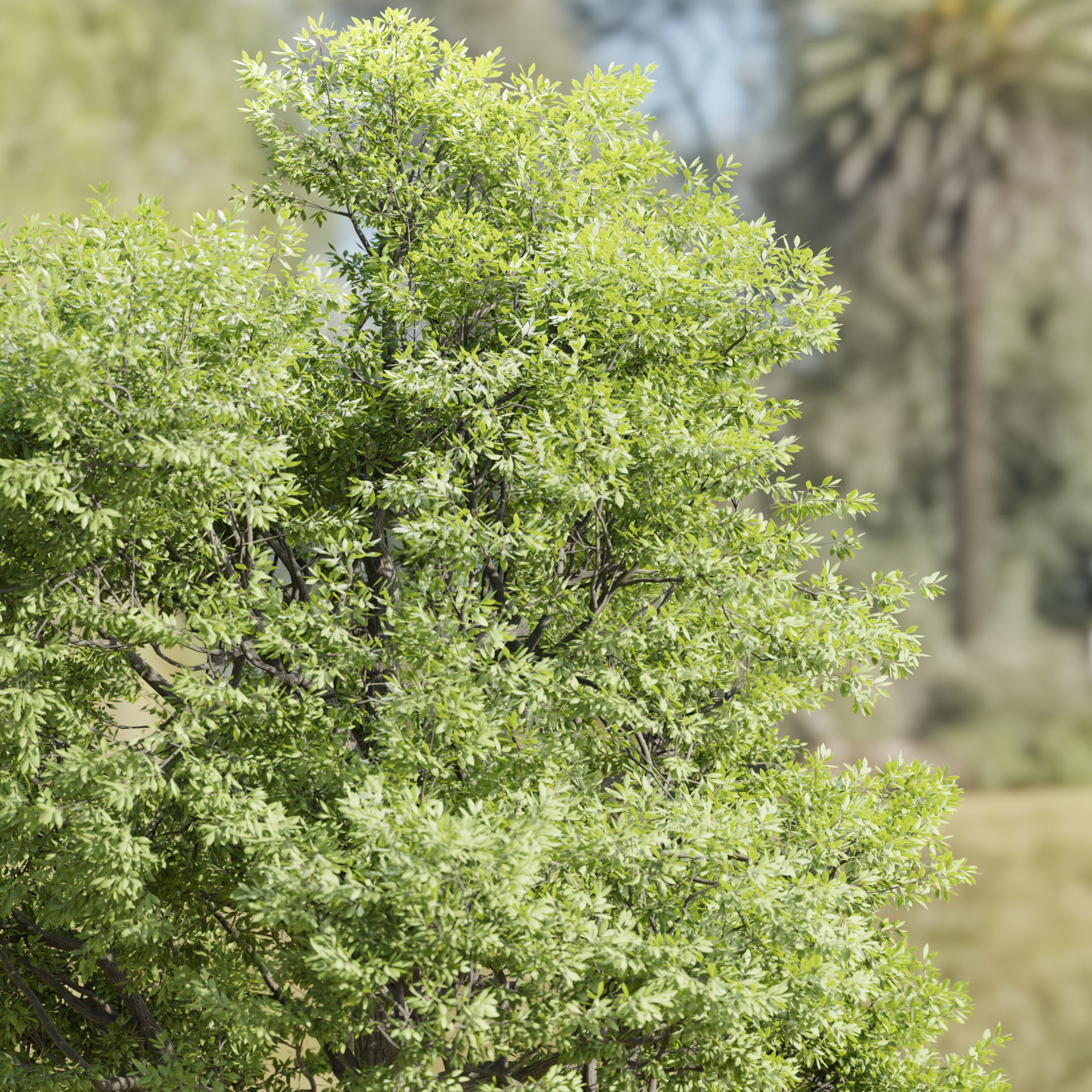 Paradise tree vol 94-Blender 3D model_1