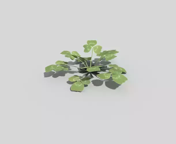 Low poly Plant