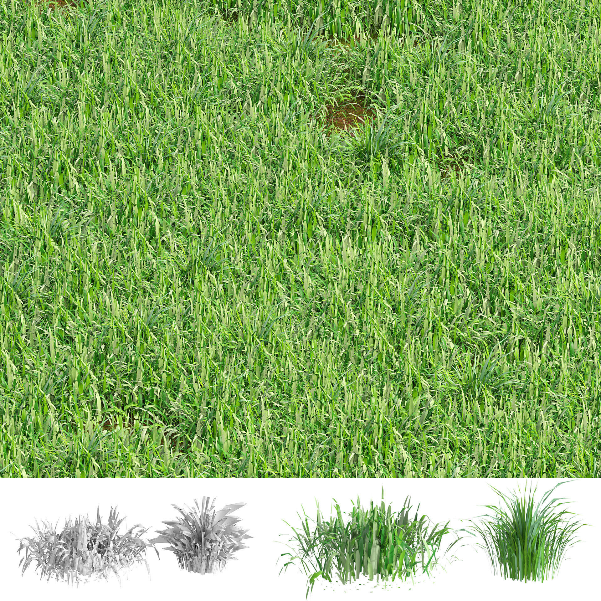grass blades 3d model Low-poly 3D model_7
