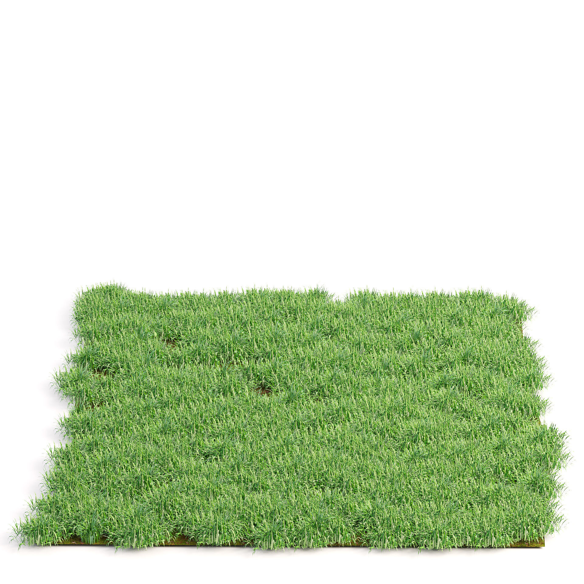 grass blades 3d model Low-poly 3D model_6