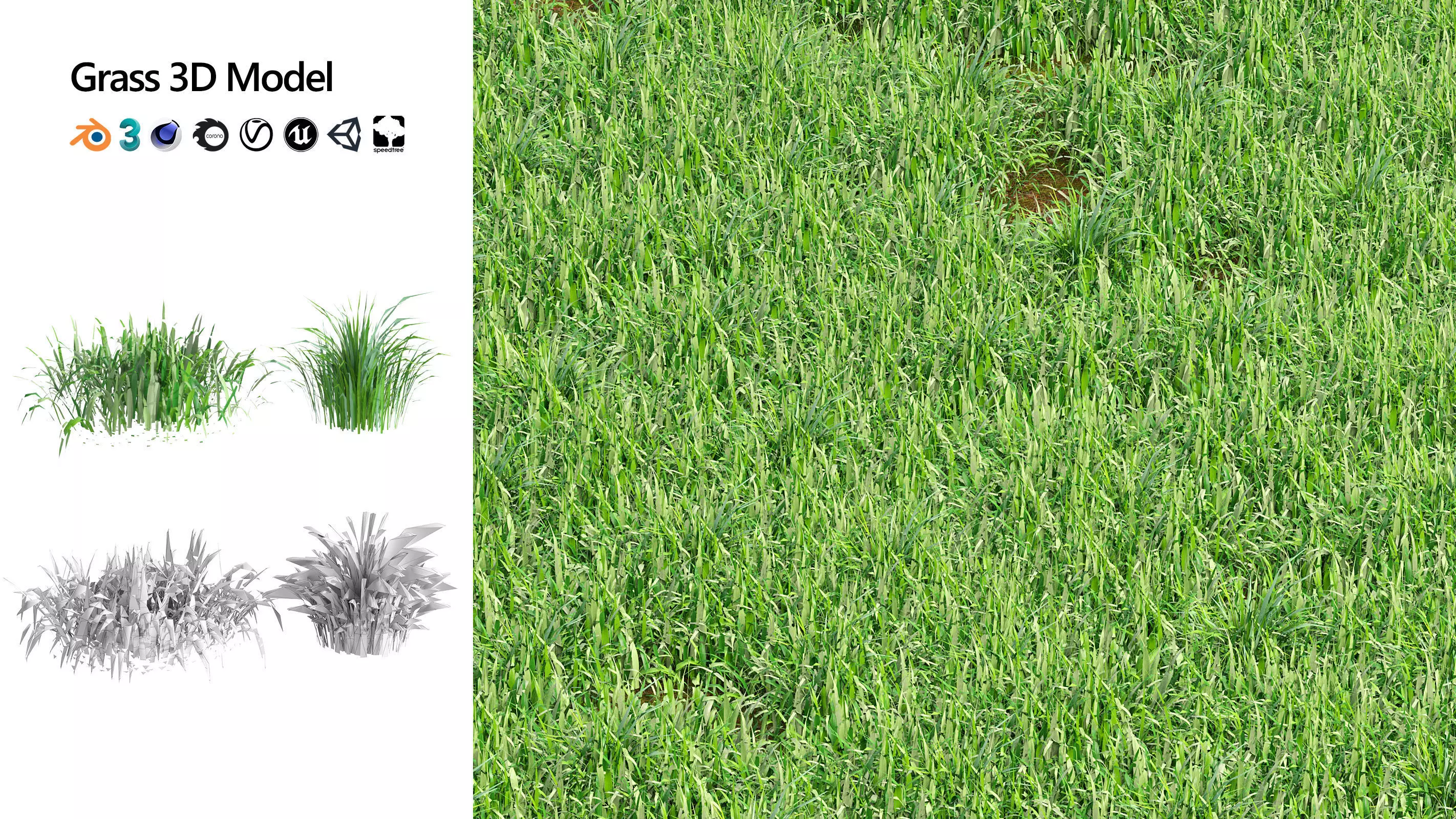 grass blades 3d model Low-poly 3D model_0